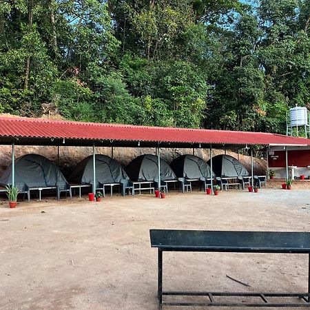 מלון מדיקרי The Nest Bettathur Coorg Campsite מראה חיצוני תמונה